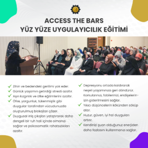Access The Bars İlk Seminer Ücreti