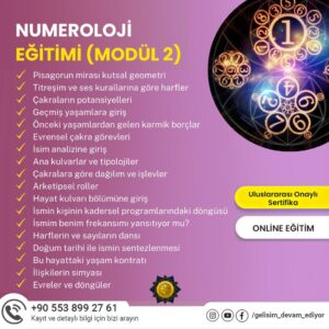 Numeroloji Eğitimi Eğitmenlik Modülü